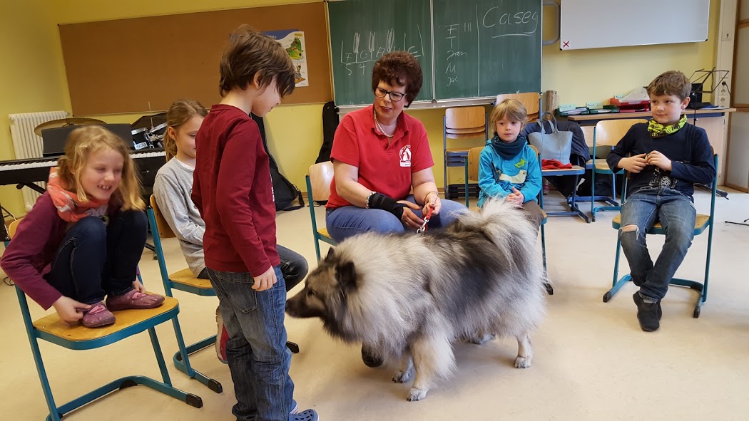 Hundehalter kennenlernen