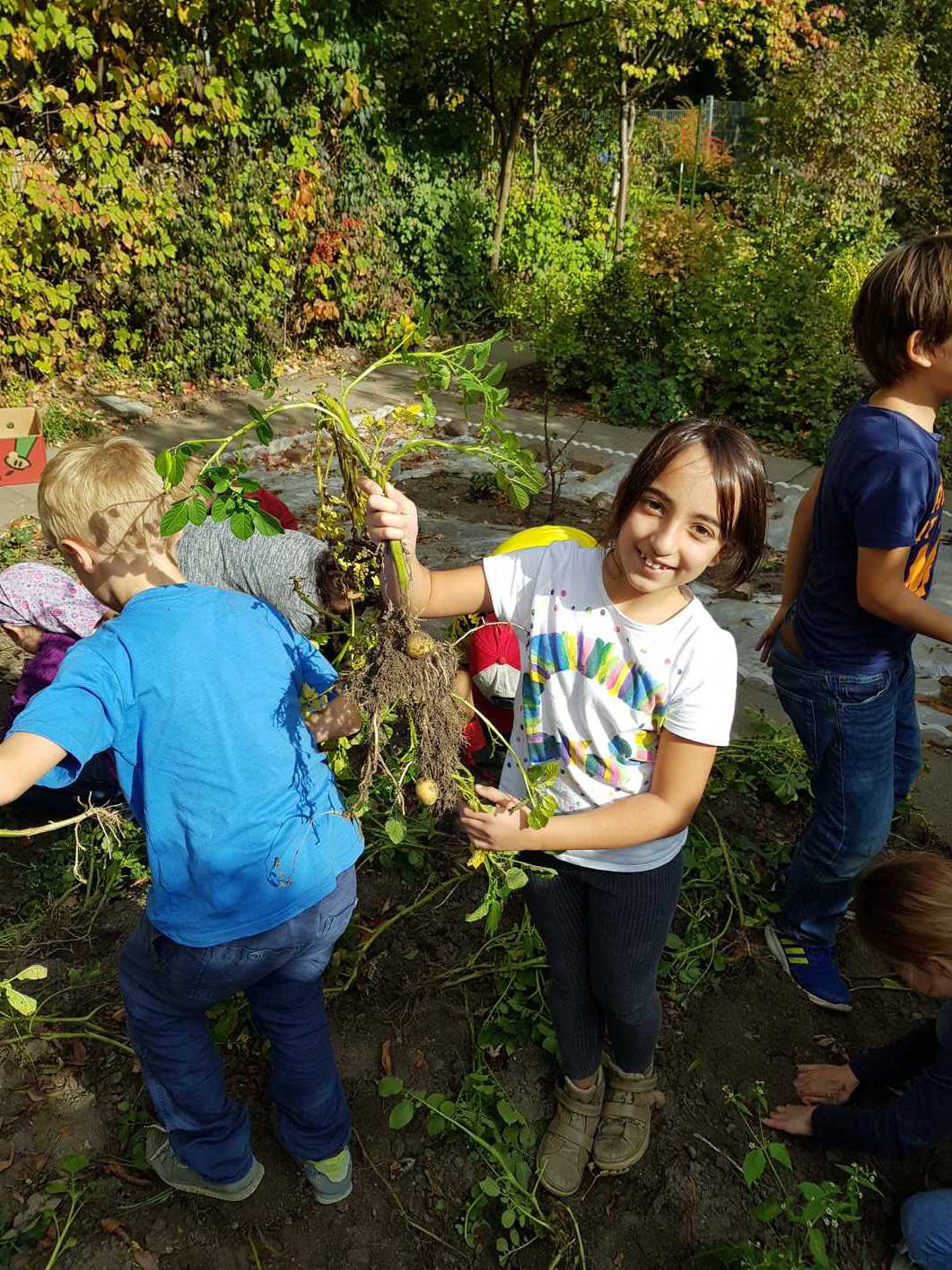 12.10.2018 Kartoffelernte120457 Kopie