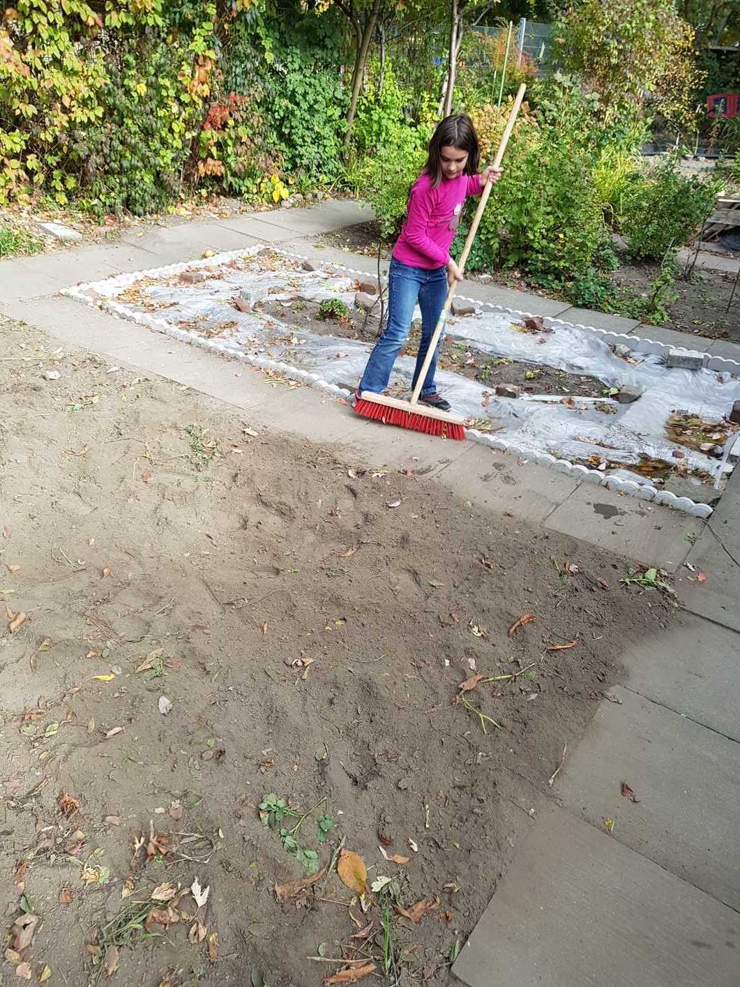 12.10.2018 Kartoffelernte122327 Kopie