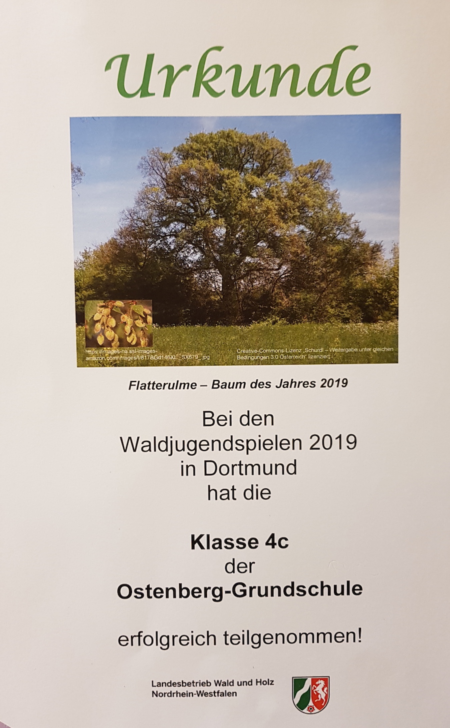 20190916 123847 Kopie