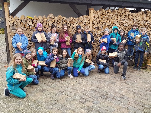 22.03.2017 4c Holz holen122833 Kopie