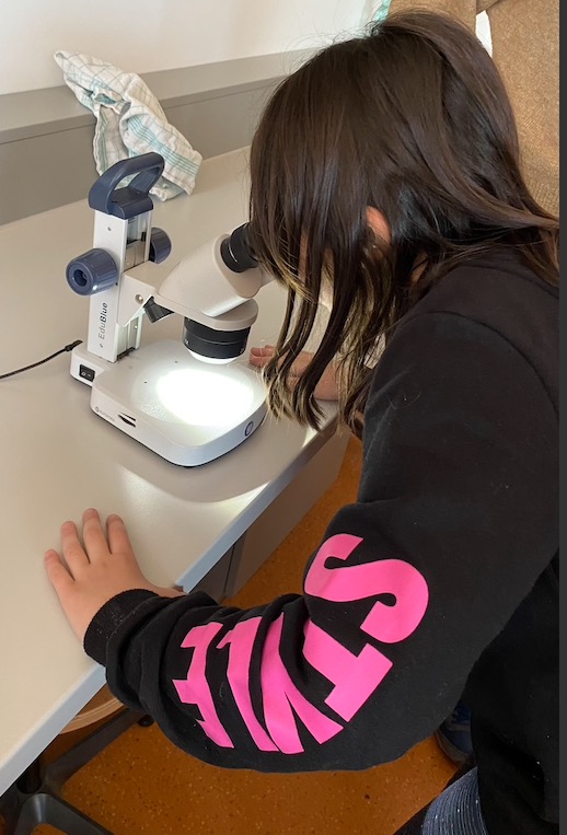 Bildschirmfoto 2020 02 07 um 14.46.54