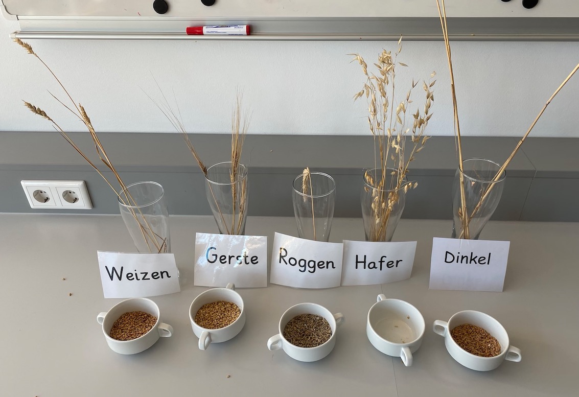 Bildschirmfoto 2020 02 07 um 14.47.23