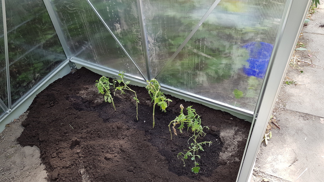 03.07.2019 Gewächshausbau163255 Kopie