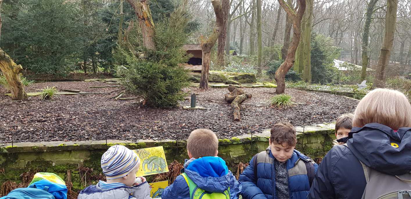 12.02.2019 Zoo Säugetiere114351 Kopie