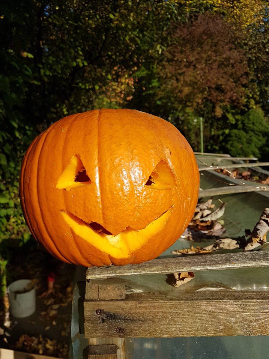 18.10.2017 Garten AG153154 Kopie