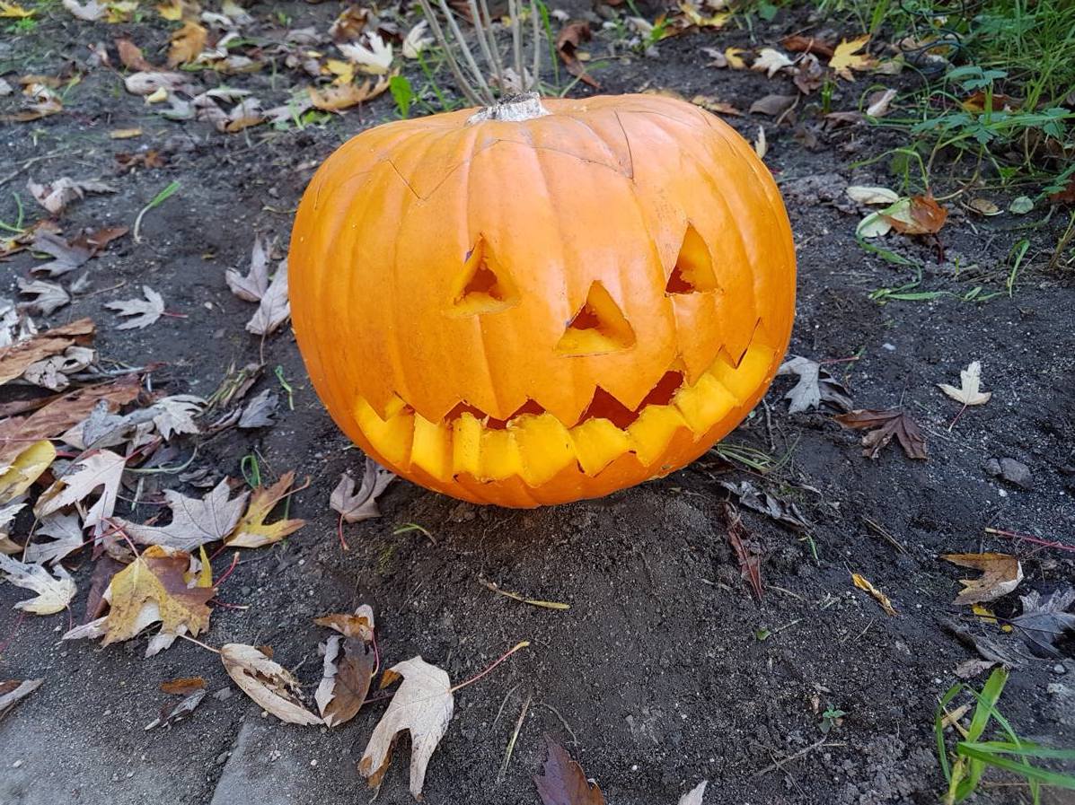 18.10.2017 Garten AG153224 Kopie