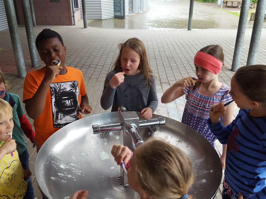 19.05.2017 Zähne und Kariestunnel112244 Kopie
