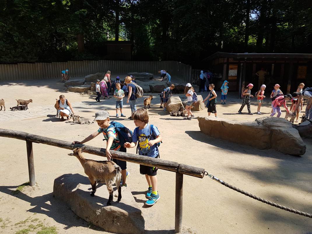 20170706 112625 002 Kopie