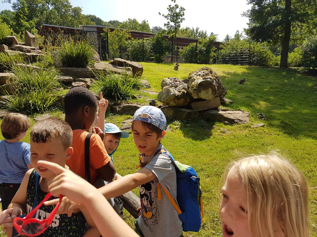 20170706 115324 Kopie