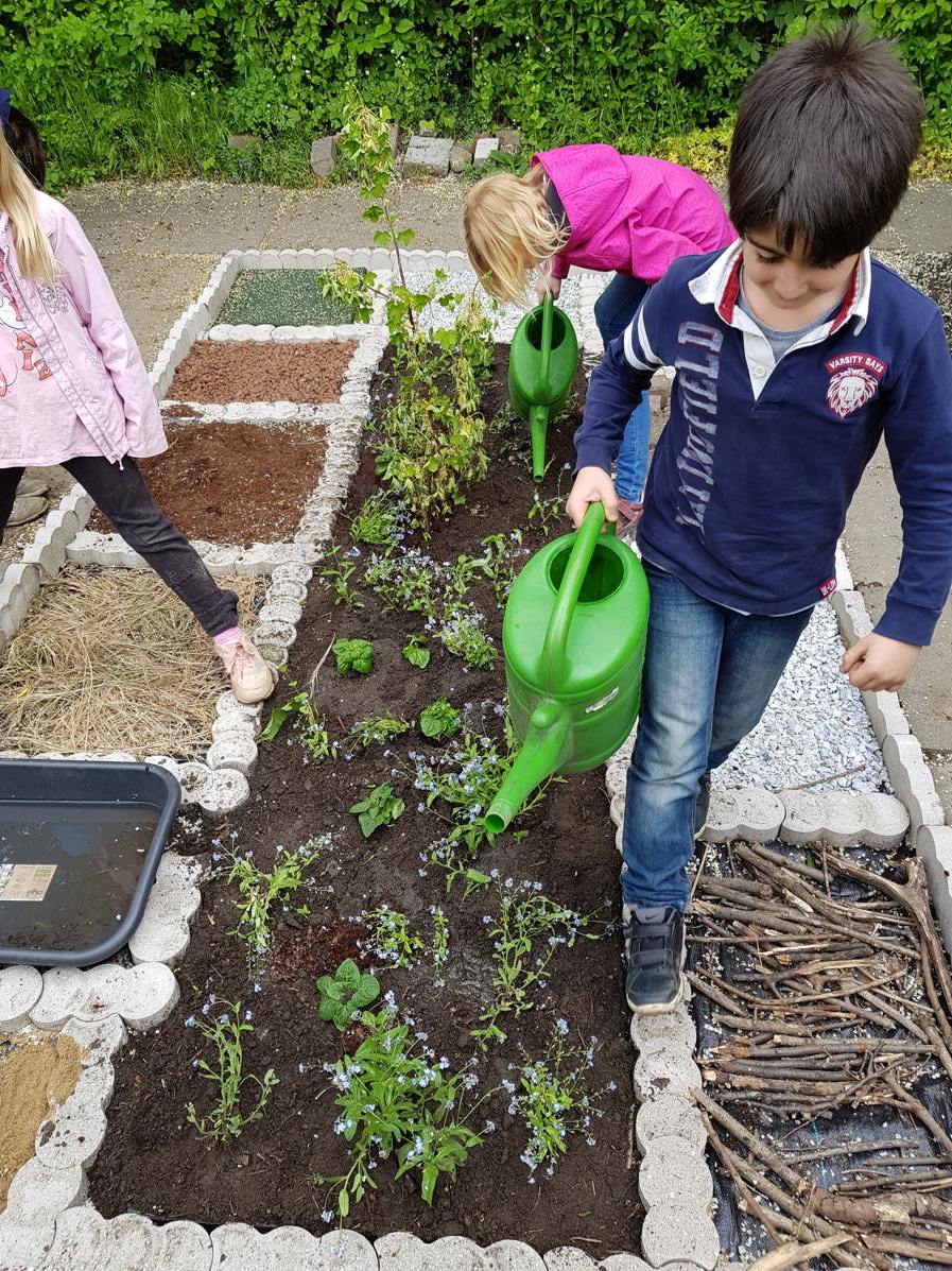 20180425 150712 Kopie