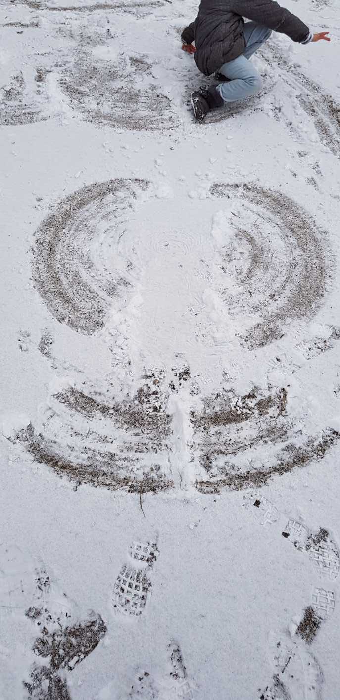 30.01.2019 Schnee114032 Kopie