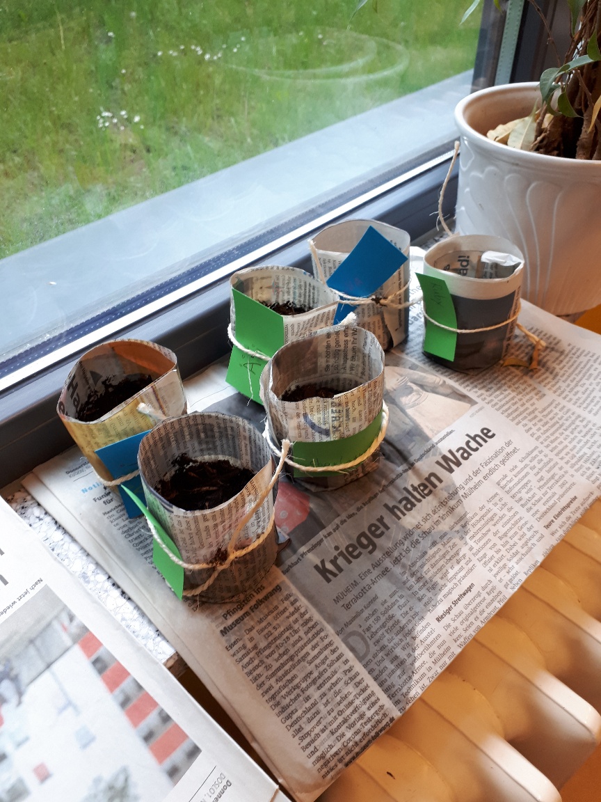 20210526 111020 resized