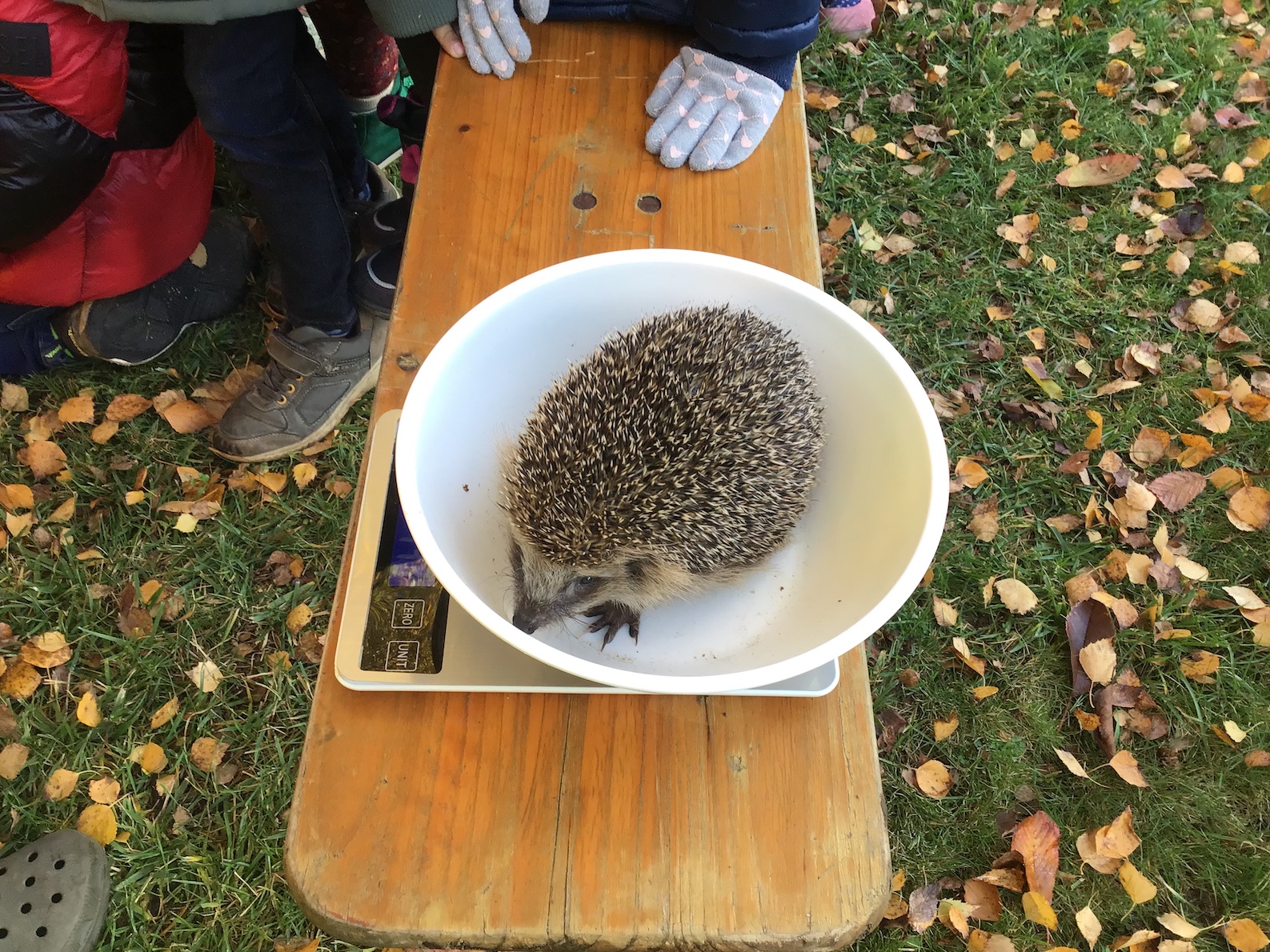 562274C9 F2F3 442E 83D3 3CC05B7DCB45