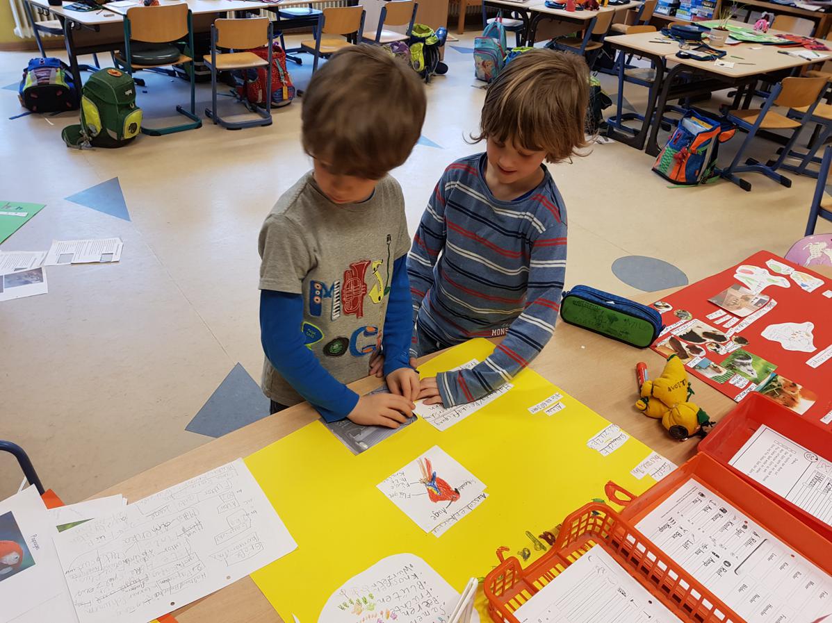 09.03.2018 Haustierplakate093706 Kopie