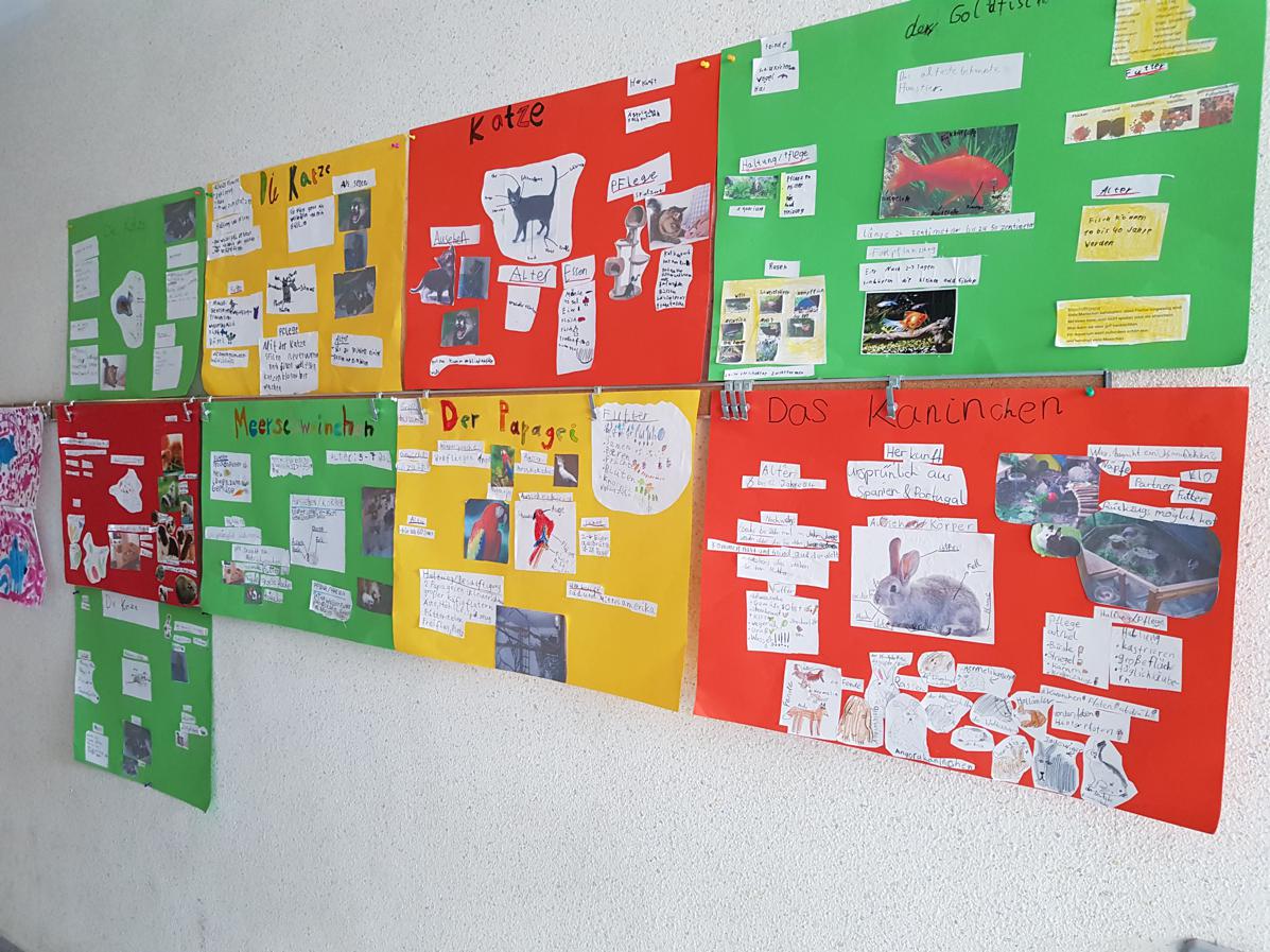 09.03.2018 Haustierplakate113809 Kopie