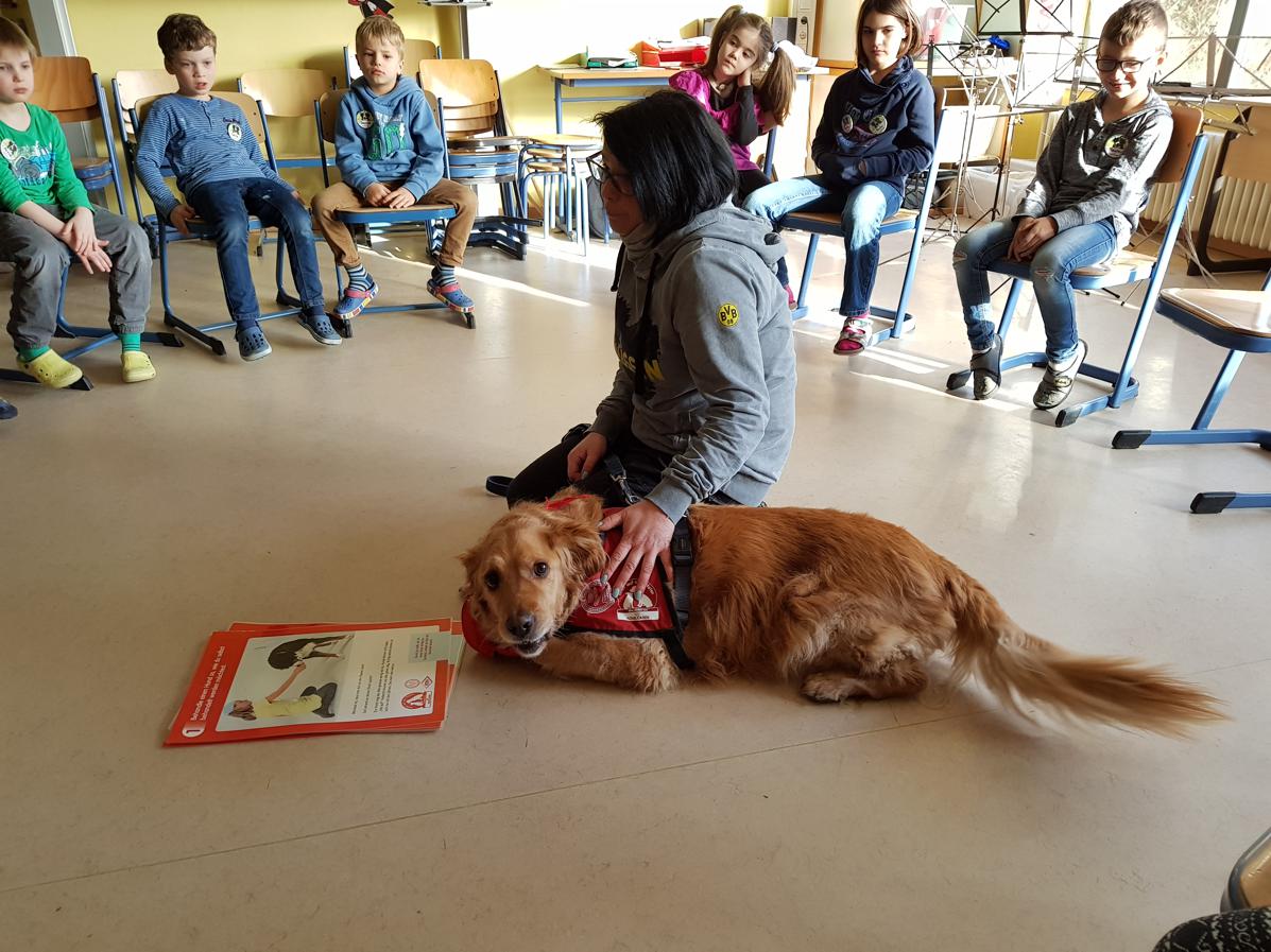 16.02.2018 1 Besuch Helfer auf 4 Pfoten Balou100850 Kopie