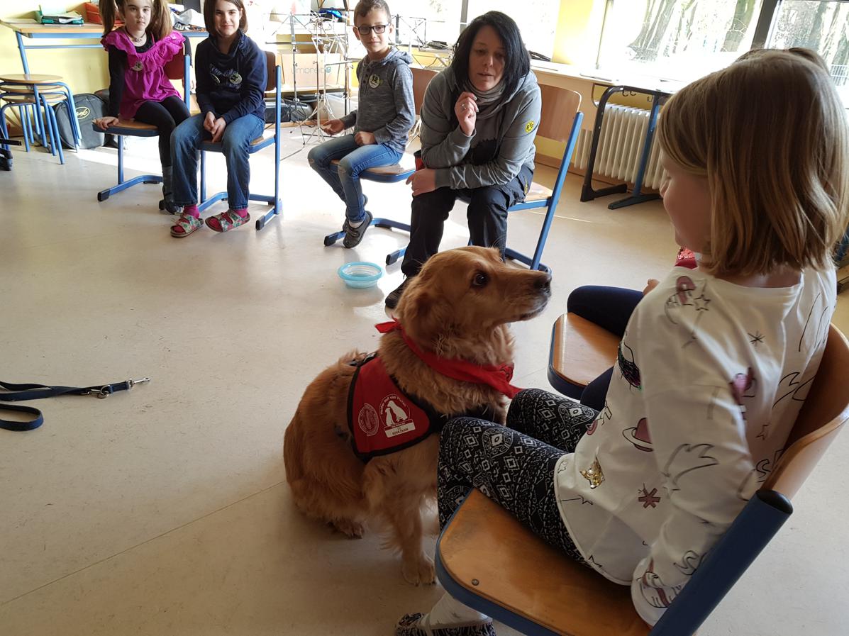 16.02.2018 1 Besuch Helfer auf 4 Pfoten Balou103649 Kopie