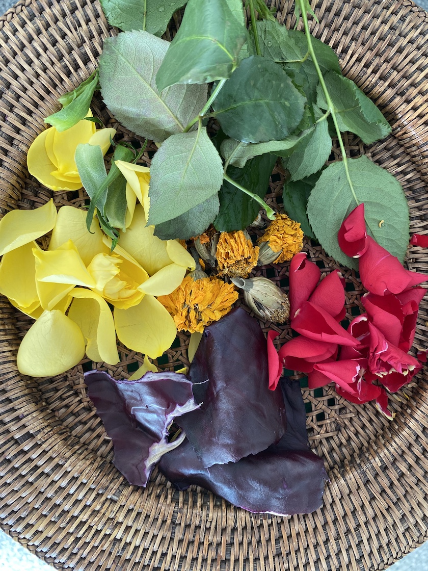 29.03. MondoMio Pflanzenfärben260