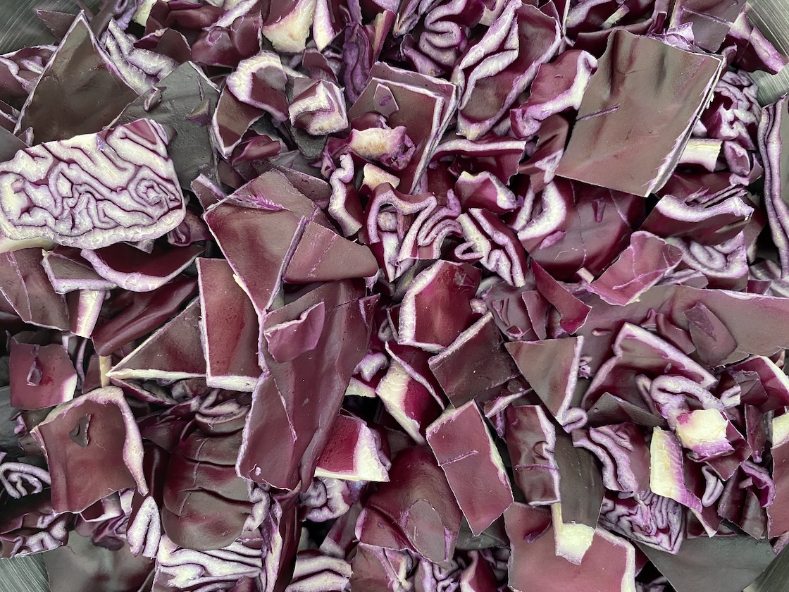 29.03. MondoMio Pflanzenfärben261