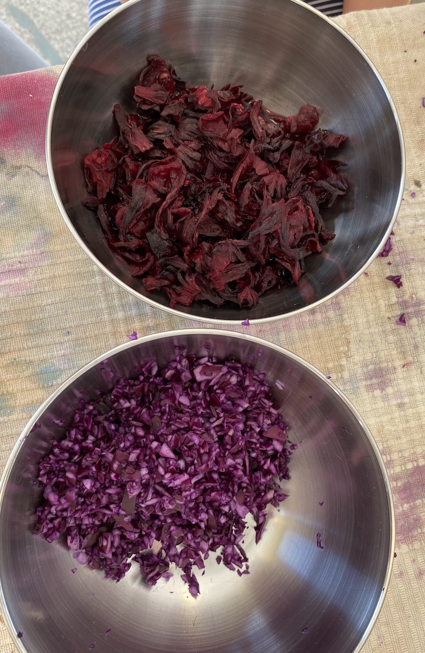 31.03. MondoMio Pflanzenfärben311 Kopie