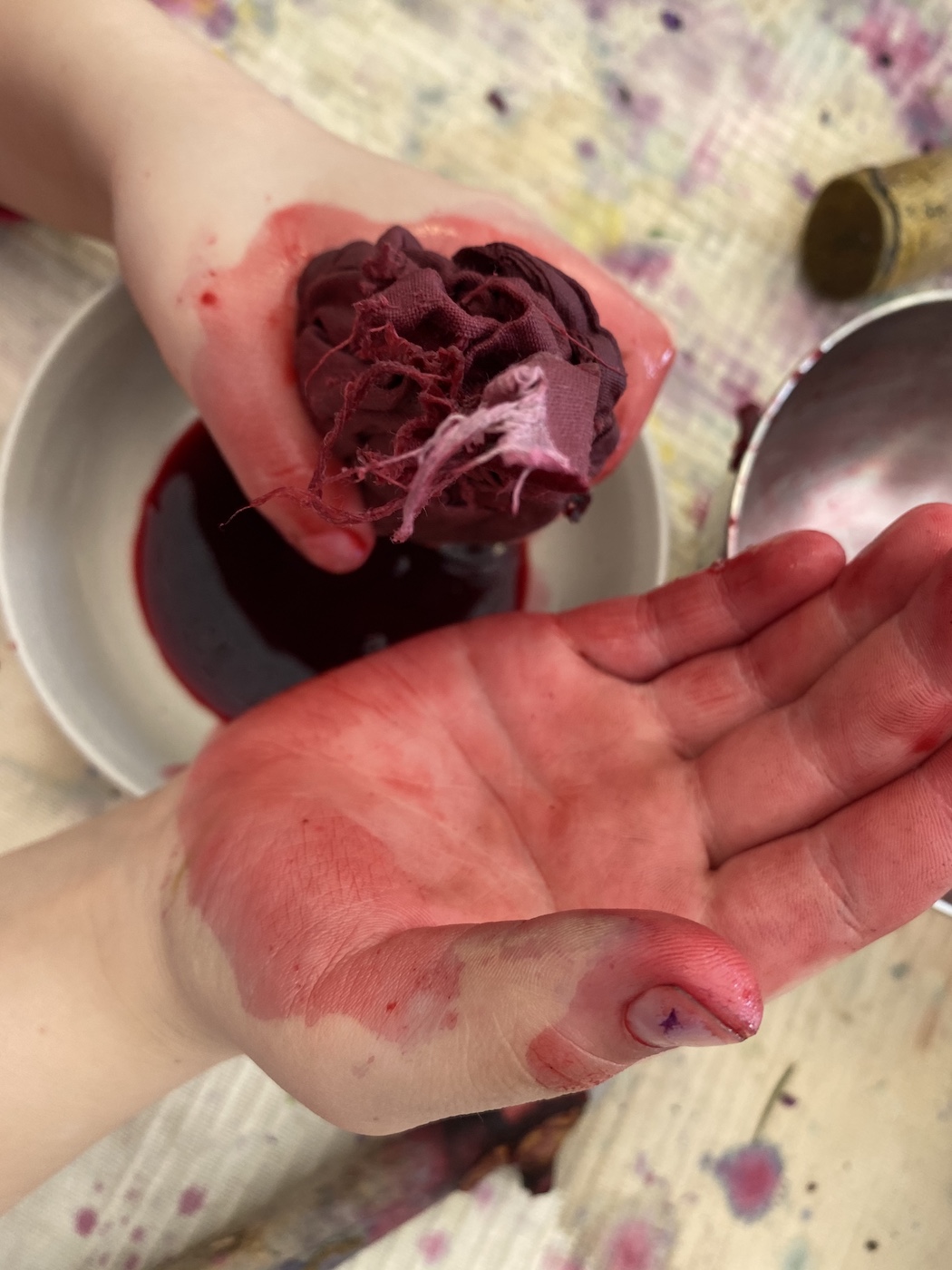 31.03. MondoMio Pflanzenfärben321 1 Kopie