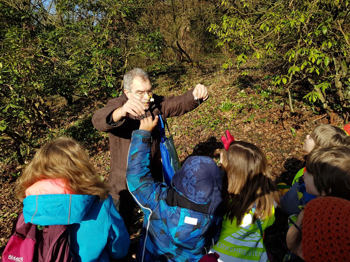 08.03.2018 Grüne Schule Frühblüher092512 Kopie