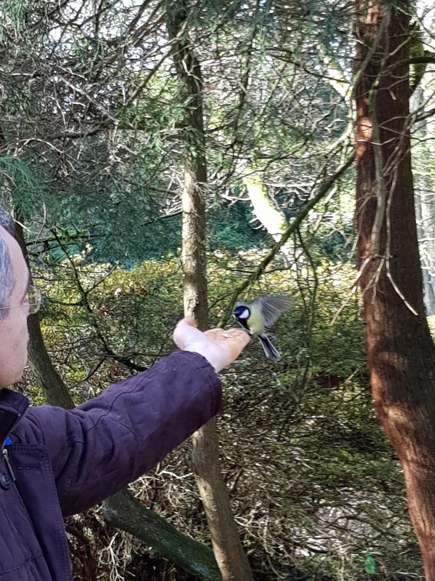 08.03.2018 Grüne Schule Frühblüher092942 Kopie