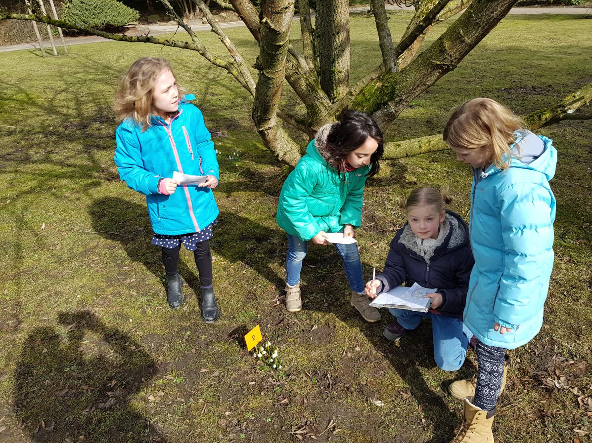 08.03.2018 Grüne Schule Frühblüher113936 Kopie