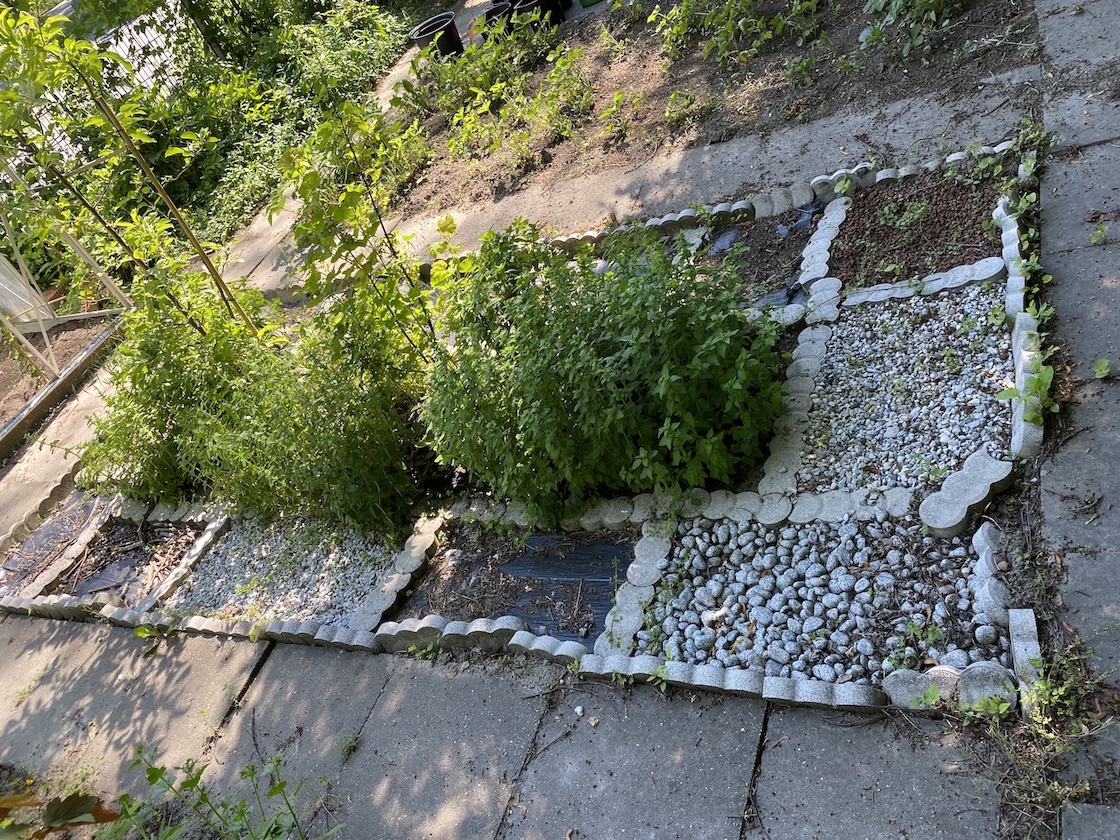 02.06.2021 Schulgarten91 Kopie