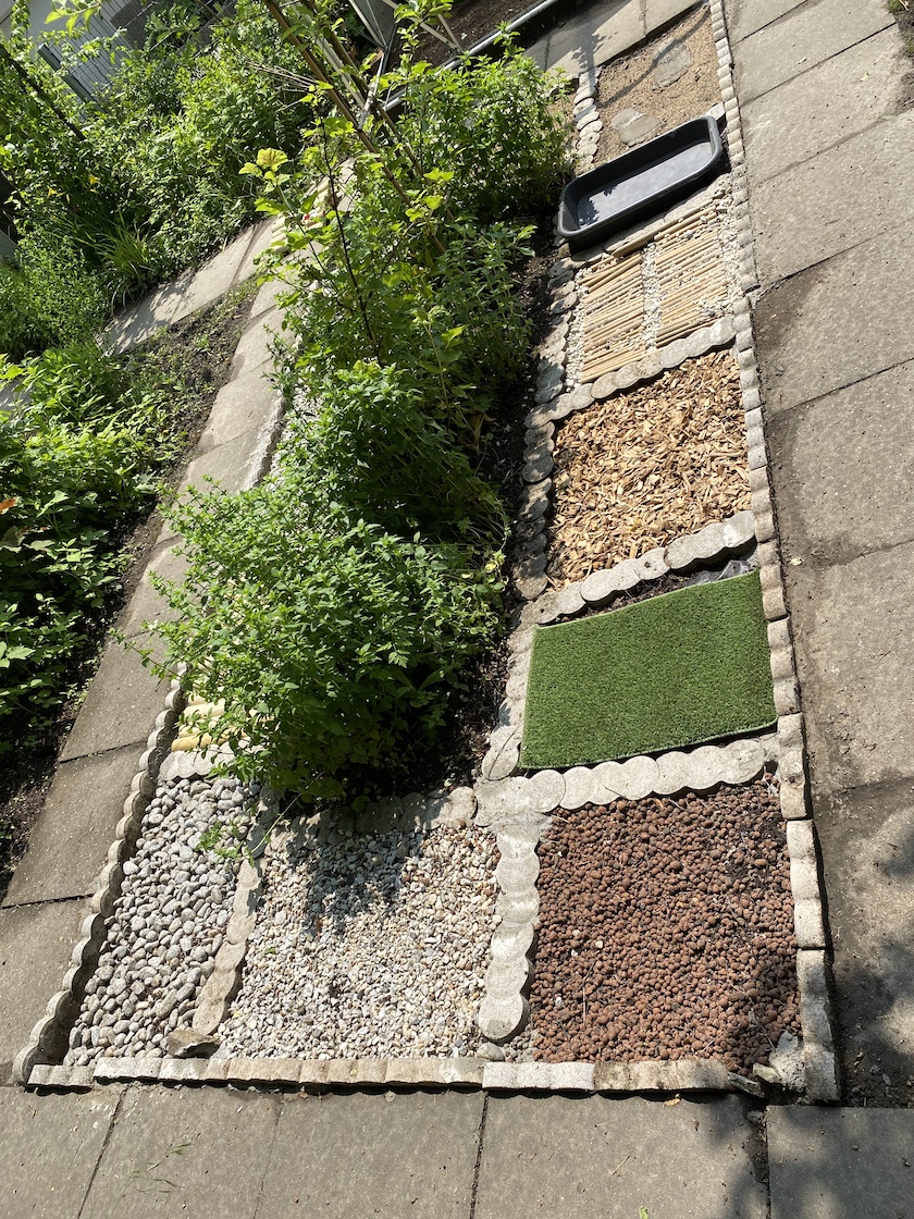 04.06.2021 Schulgarten23 Kopie