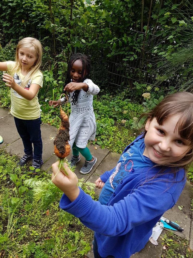 06.09.2017 Schulgarten144032 Kopie