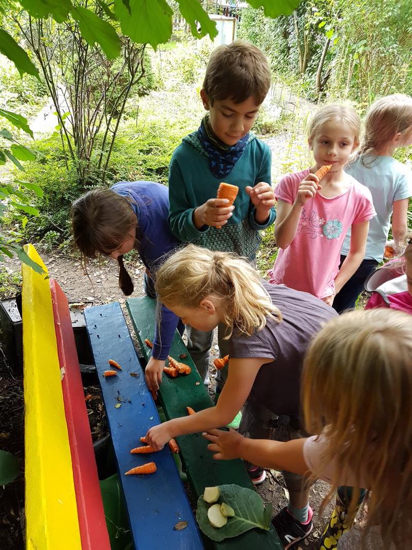 06.09.2017 Schulgarten145121 Kopie