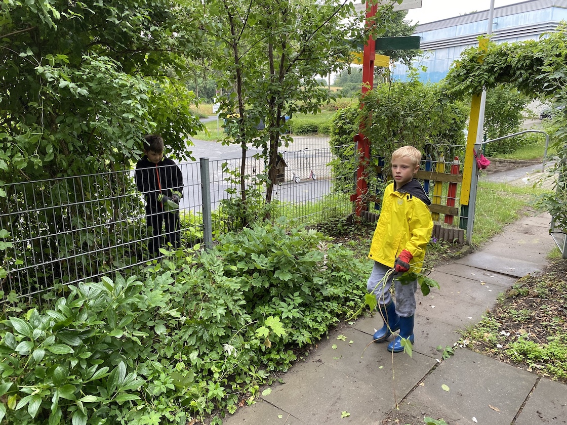 09.07.2020 Schulgarten0087 Kopie