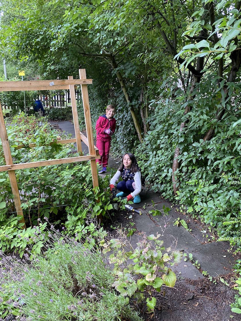 09.07.2020 Schulgarten0092 Kopie