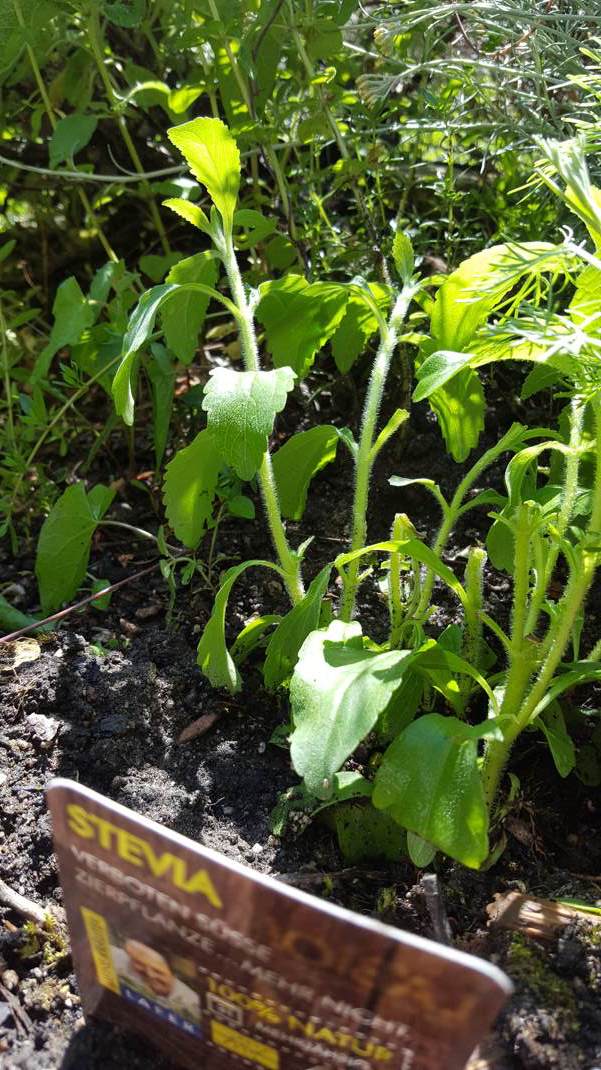 20170619 151618 Kopie