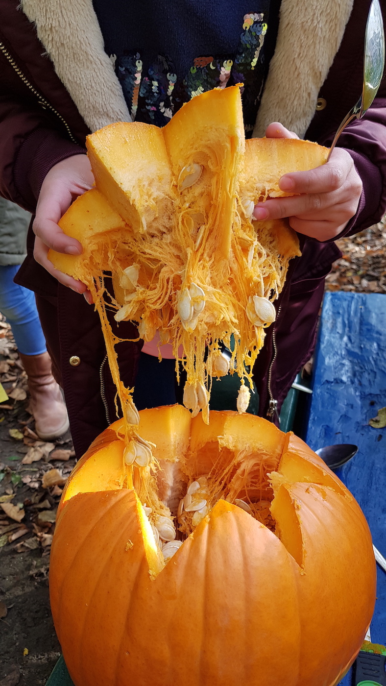 20191028 144155 Kopie