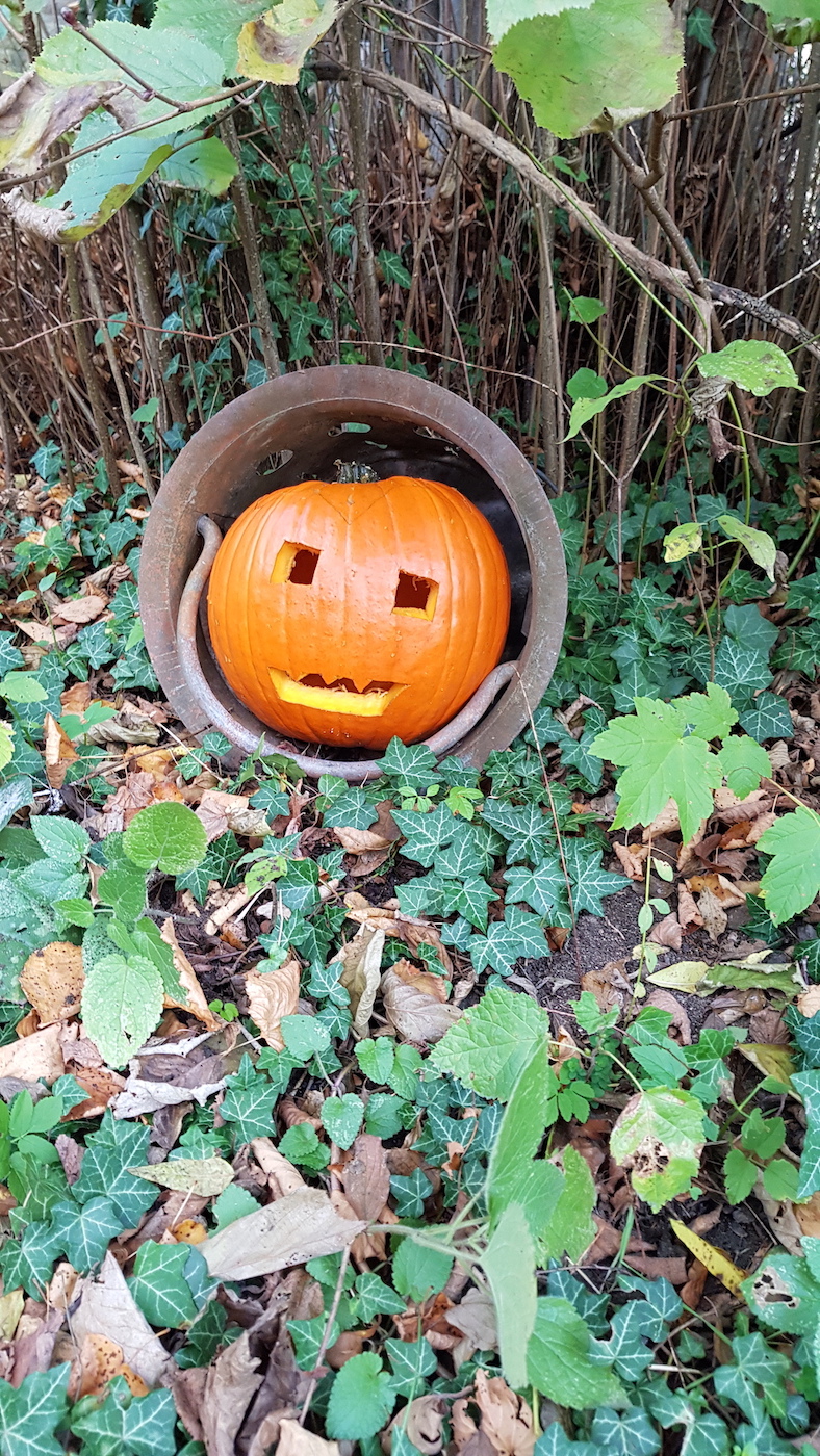 20191028 155233 Kopie