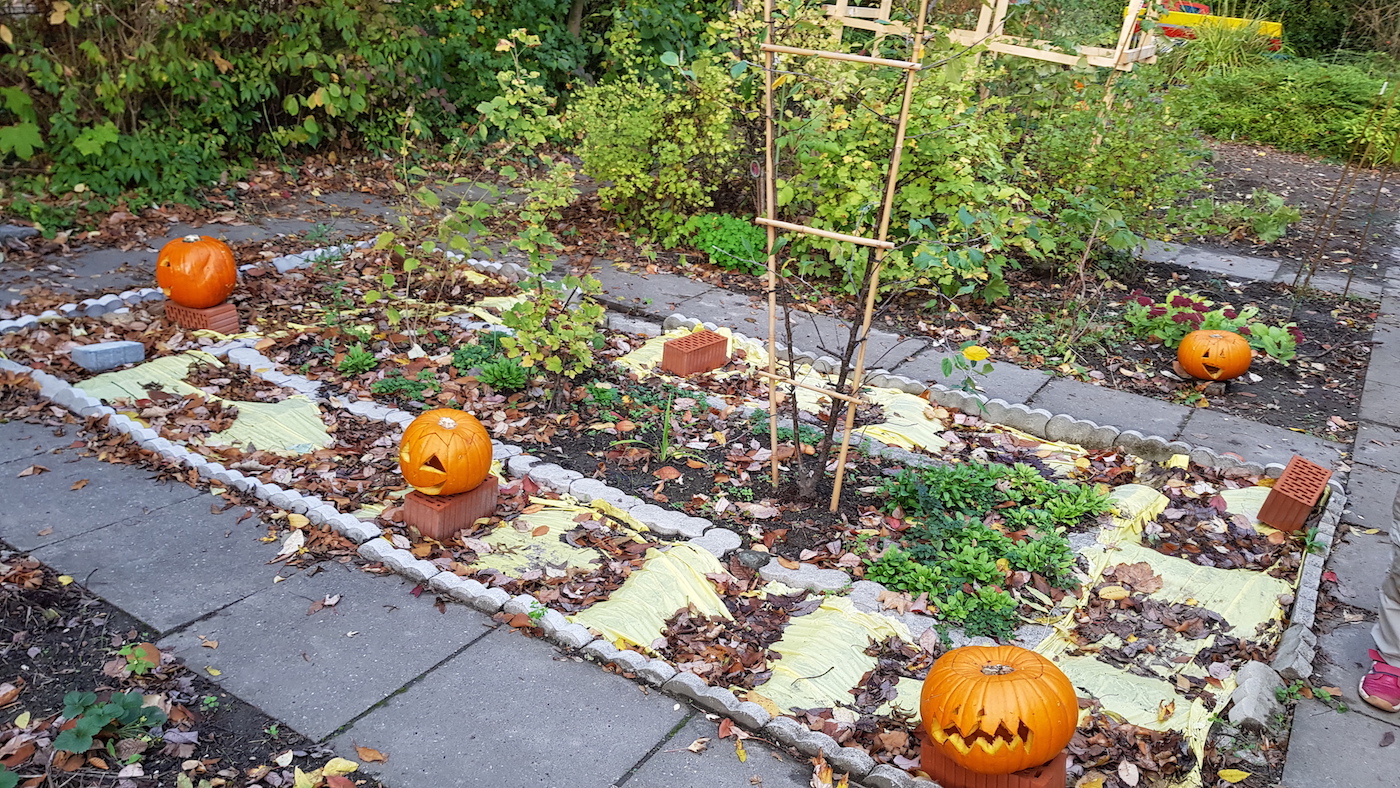 20191028 155248 Kopie