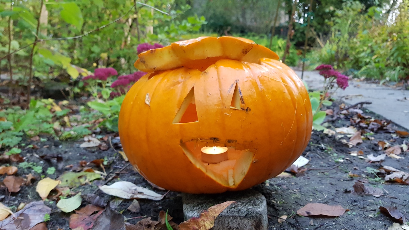 20191029 073920 Kopie