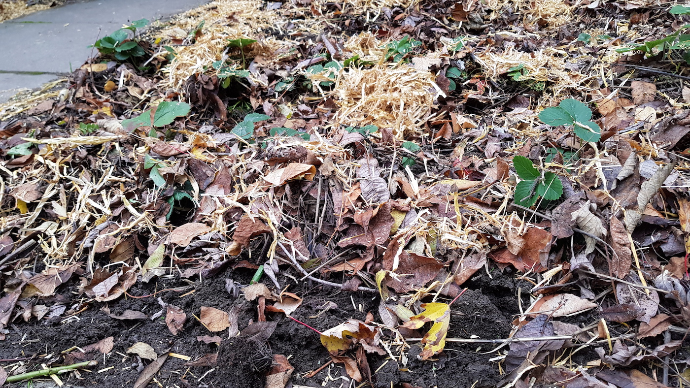 20191104 151746 Kopie