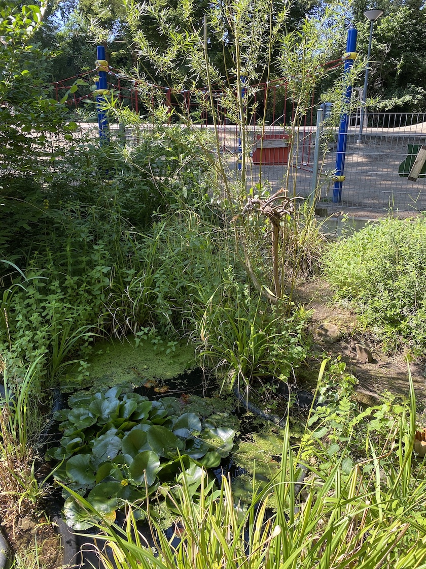 23.06.2020 Frauenpower im Schulgarten9592 Kopie