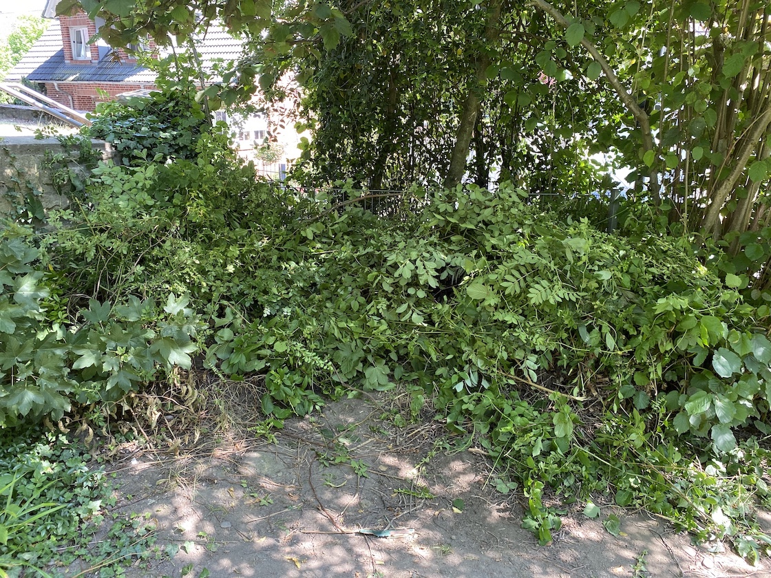 23.06.2020 Frauenpower im Schulgarten9595 Kopie