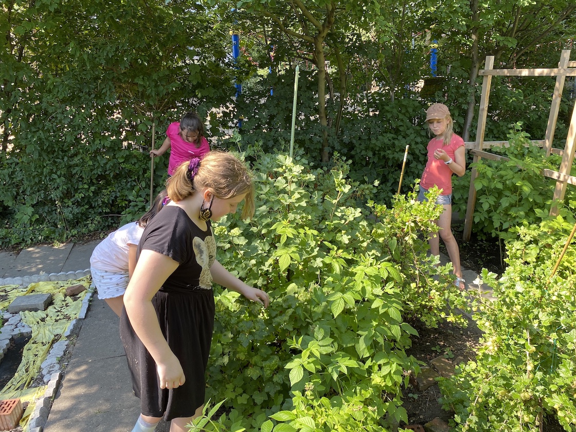 23.06.2020 Frauenpower im Schulgarten9598 Kopie