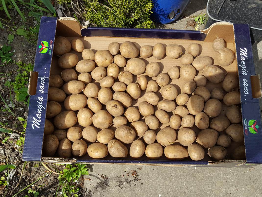 24.04.2017 Schulgarten141605 Kopie