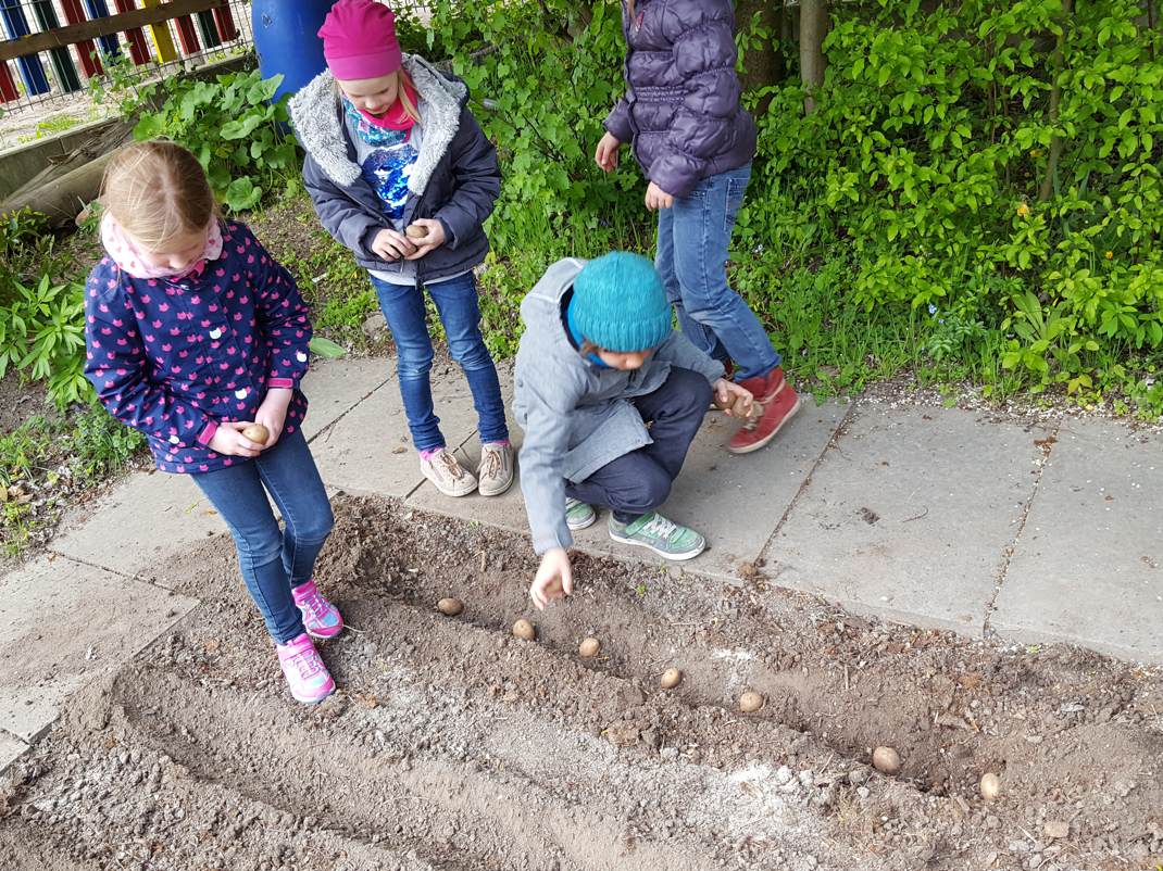 24.04.2017 Schulgarten144659 Kopie