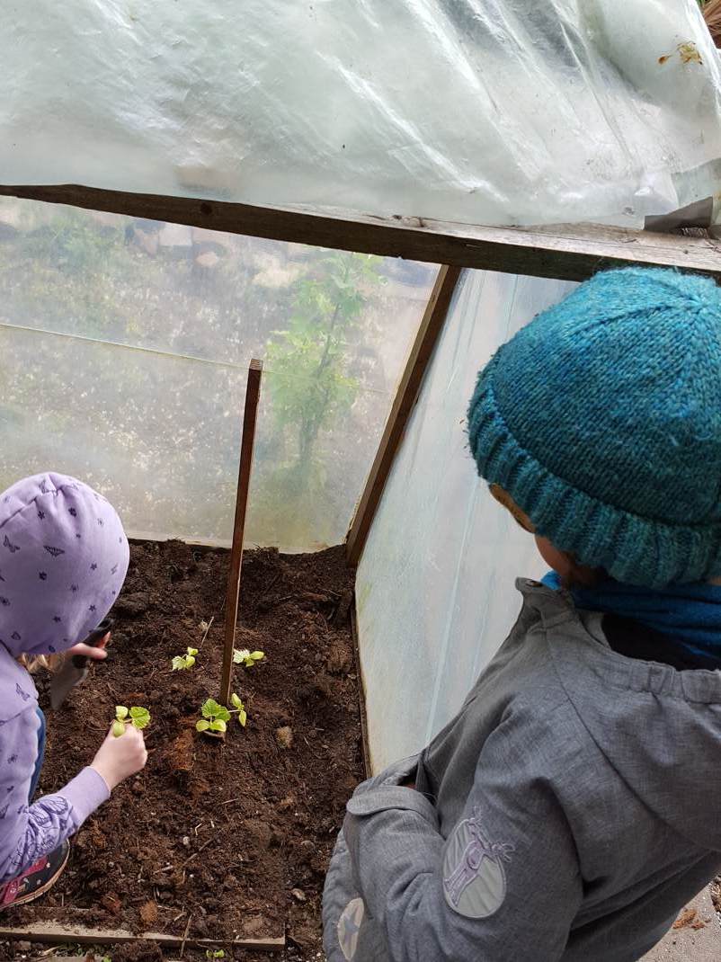 24.04.2017 Schulgarten144908 Kopie