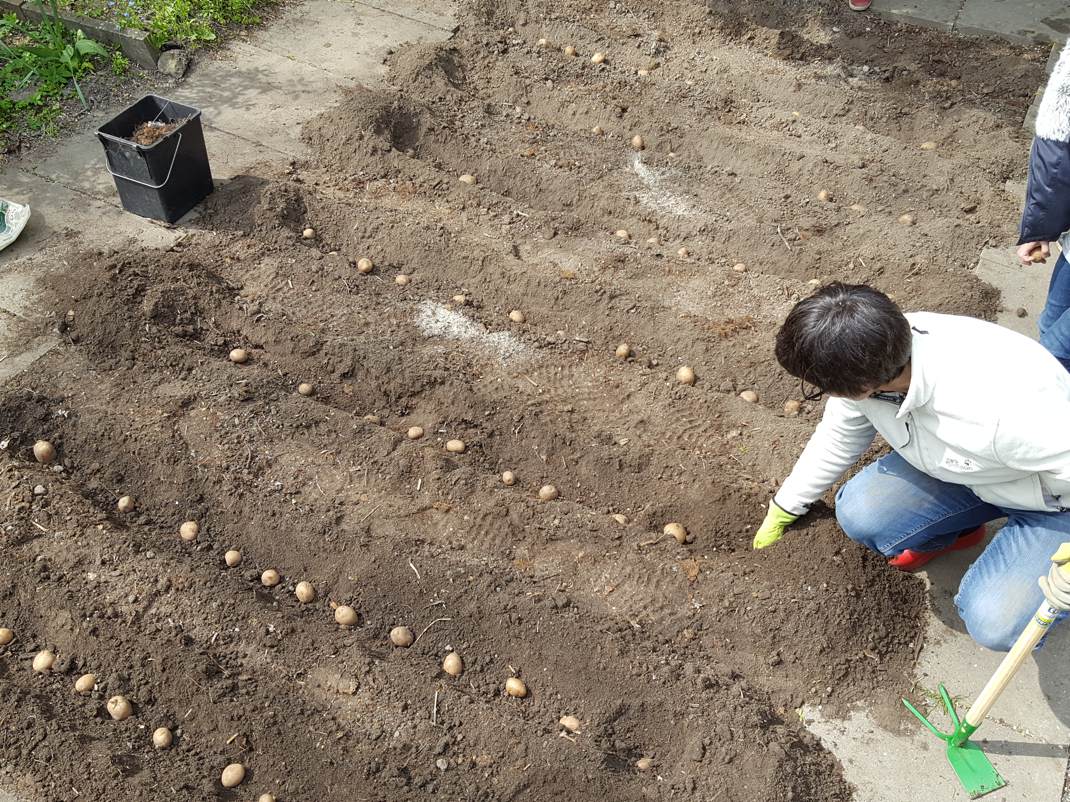 24.04.2017 Schulgarten145728 Kopie