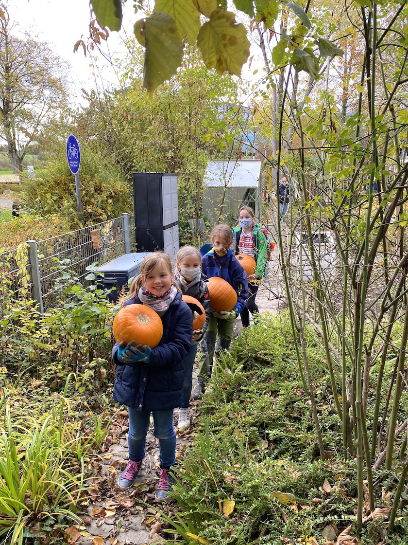 26.10.2020 Schulgarten Kürbisse schnitzen1902 Kopie