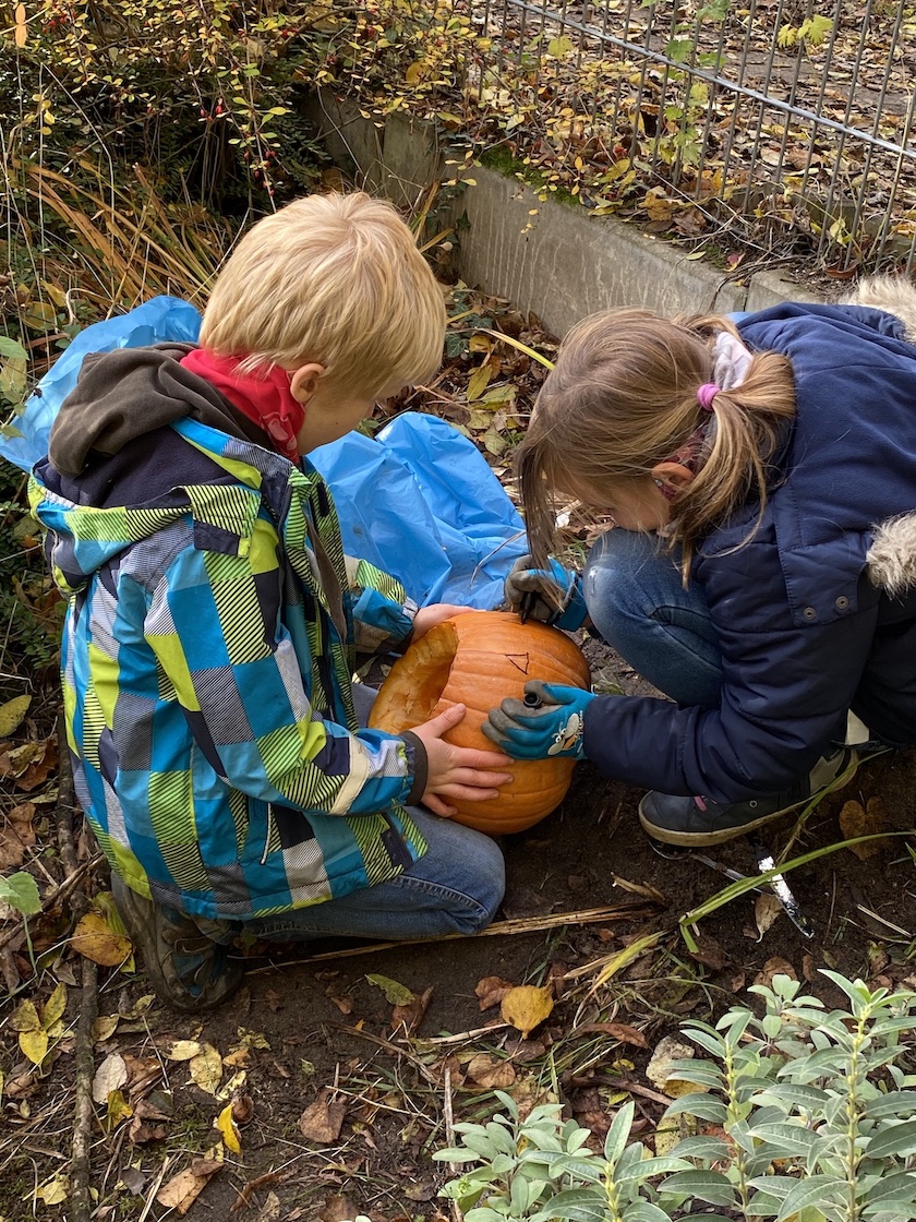 26.10.2020 Schulgarten Kürbisse schnitzen1909 Kopie